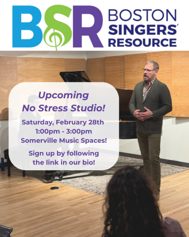 BSR No Stress Studio - 2/28