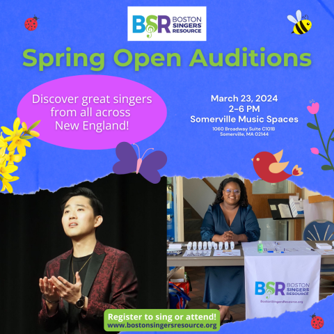 BSR's next Open Auditions will be on March 23 from 2pm-6pm at Somerville Music Spaces!